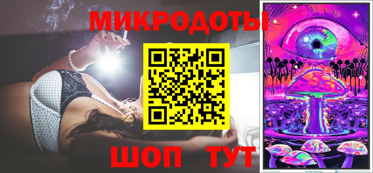 Псилоцибиновые грибы Psilocybe Ишим
