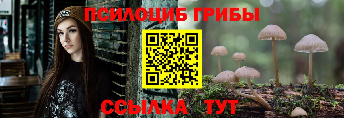 Ишим  Псилоцибиновые грибы Cubensis  Вход с VPN 
